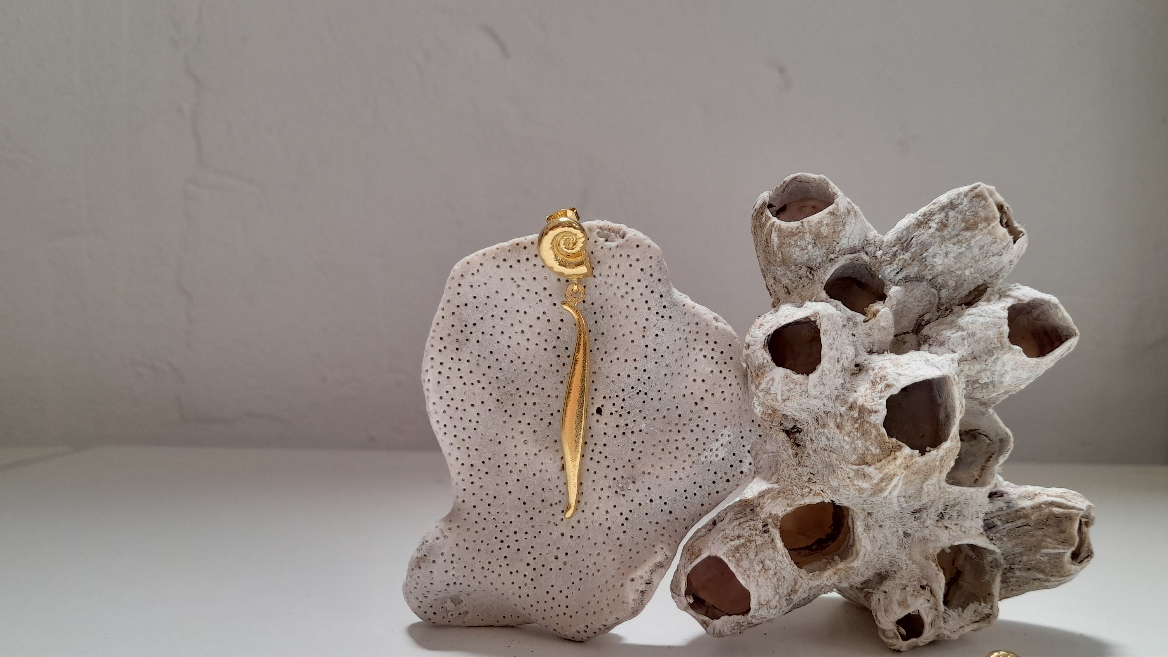 Brincos Odara Longos