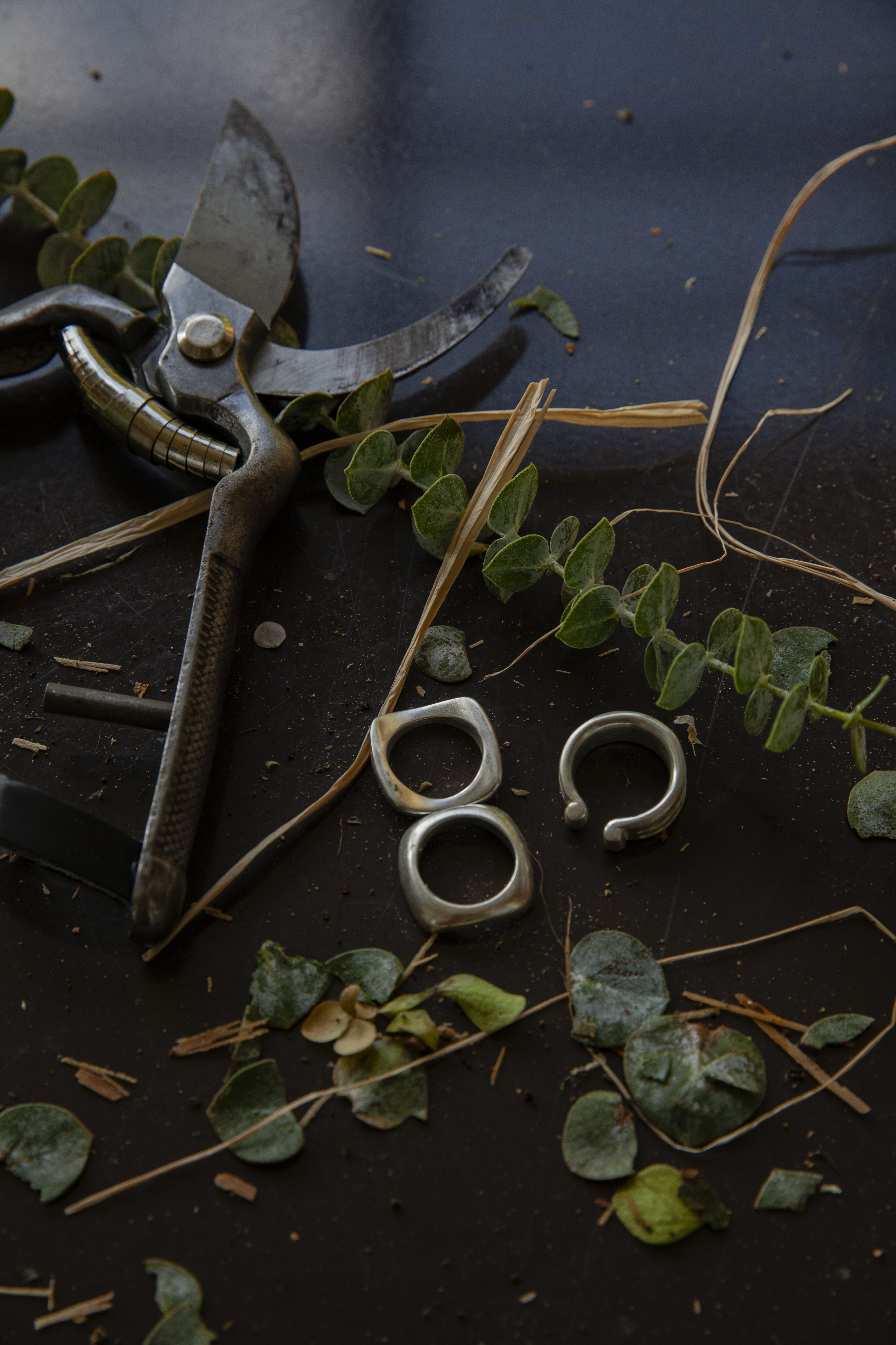 Gestus Curved silver Ring