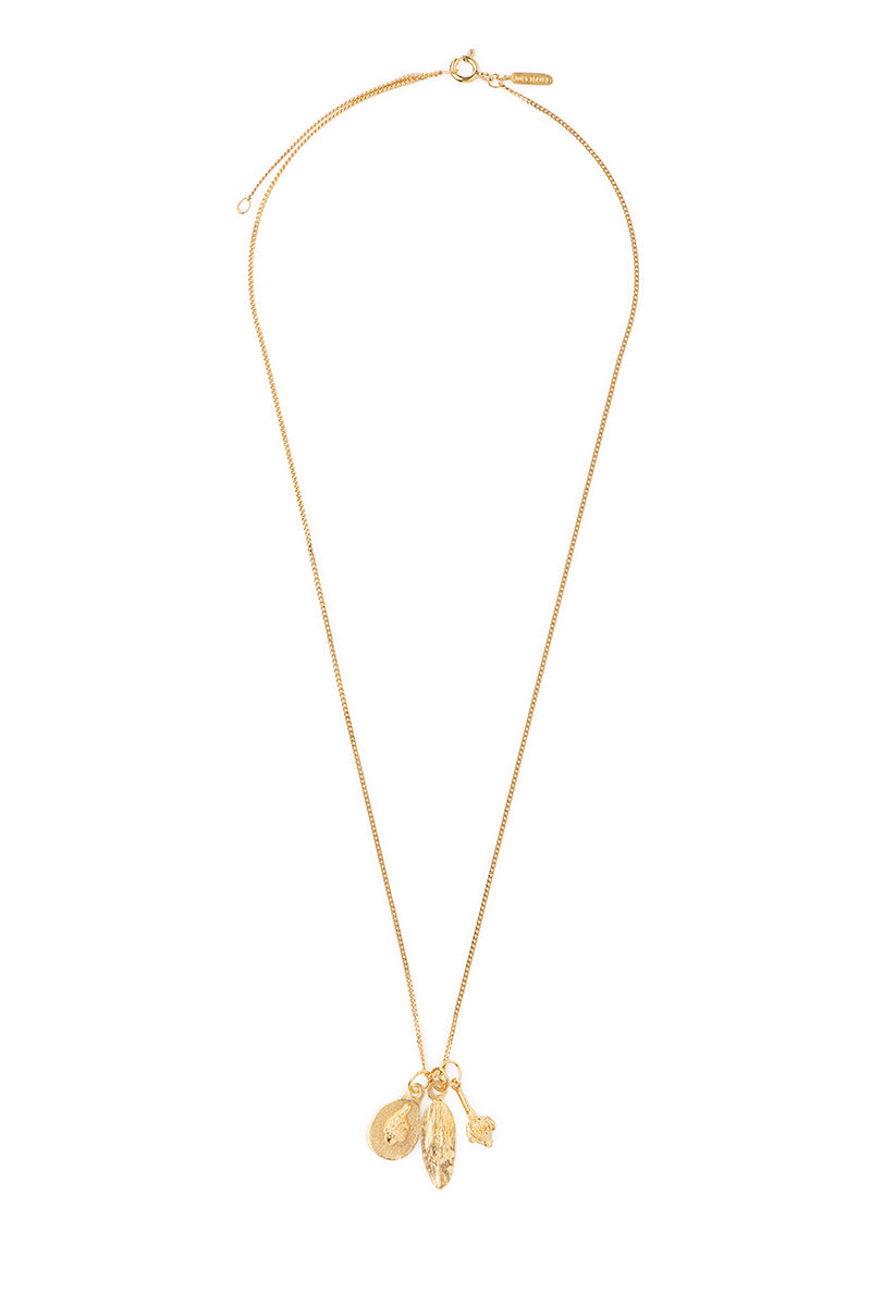 Colar Floria Elementos