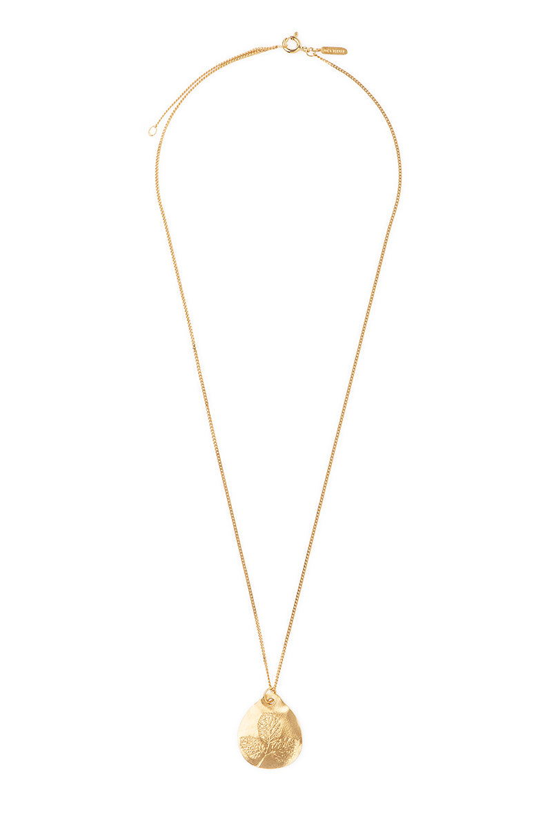 Colar Floria Decalque Roseira