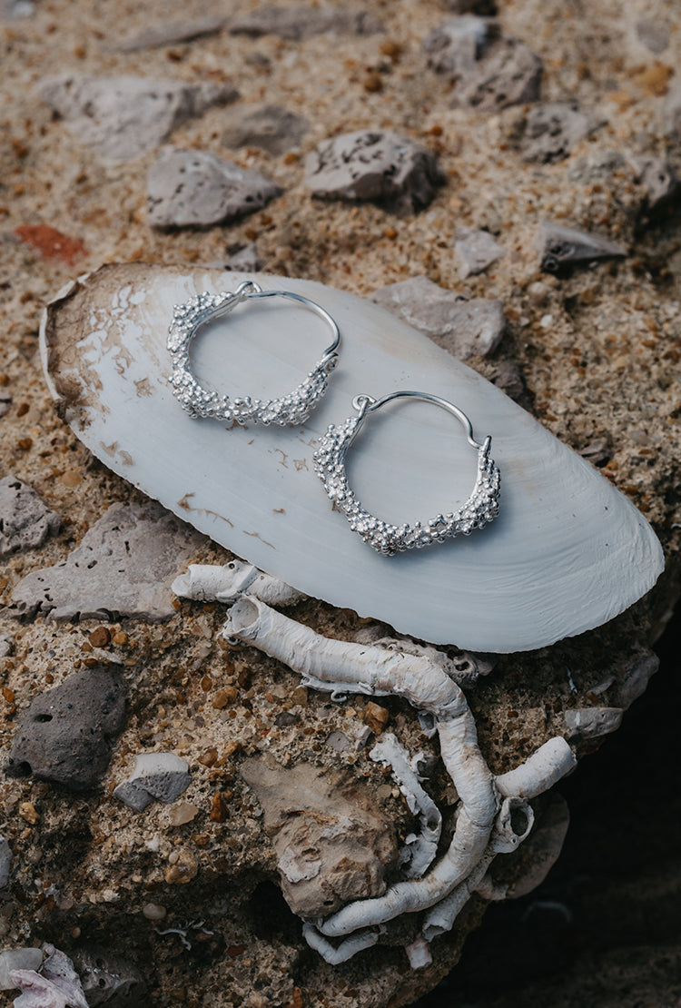 Brincos Ilhas Arrecadas