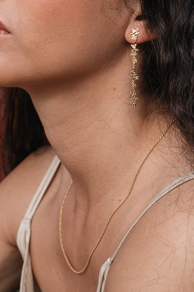 Brincos Ilhas Esguios