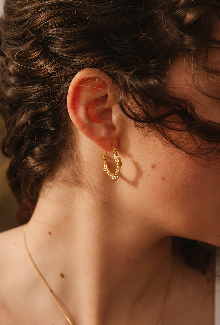 Brincos Ilhas Arrecadas