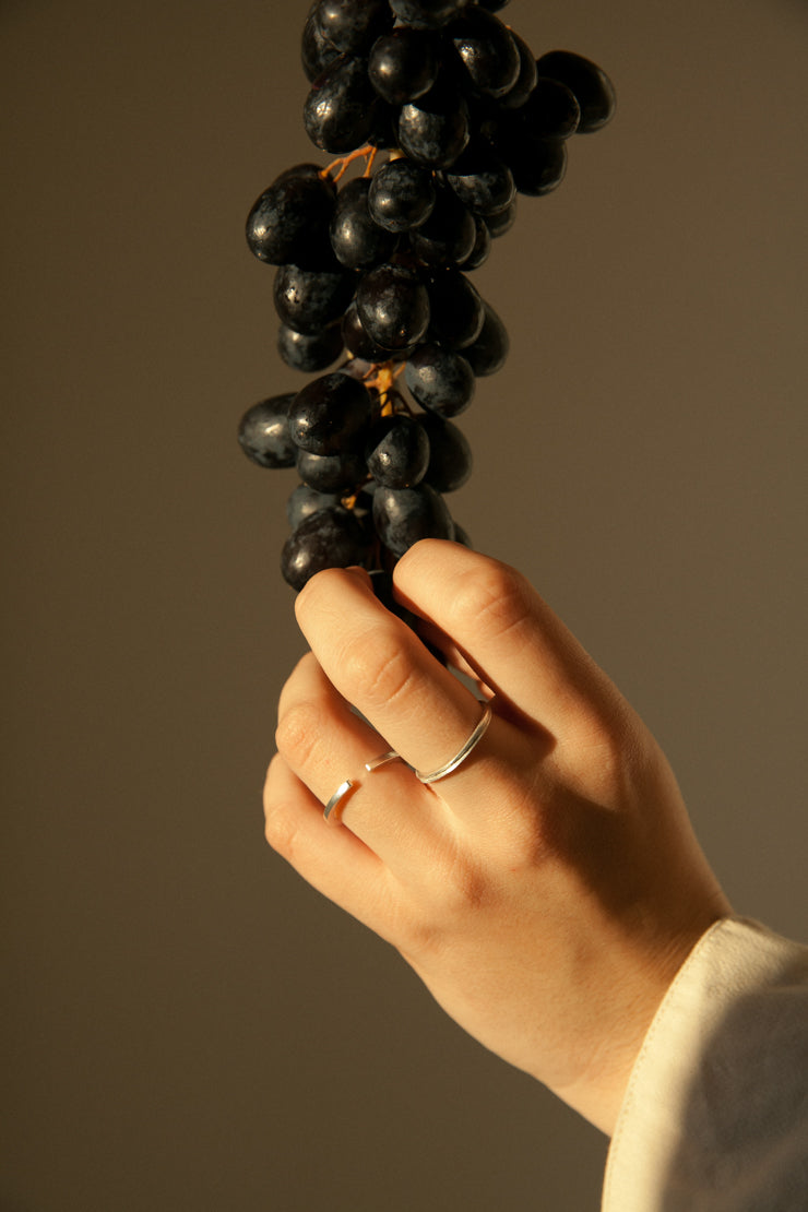 Anel Memoriar Aberto