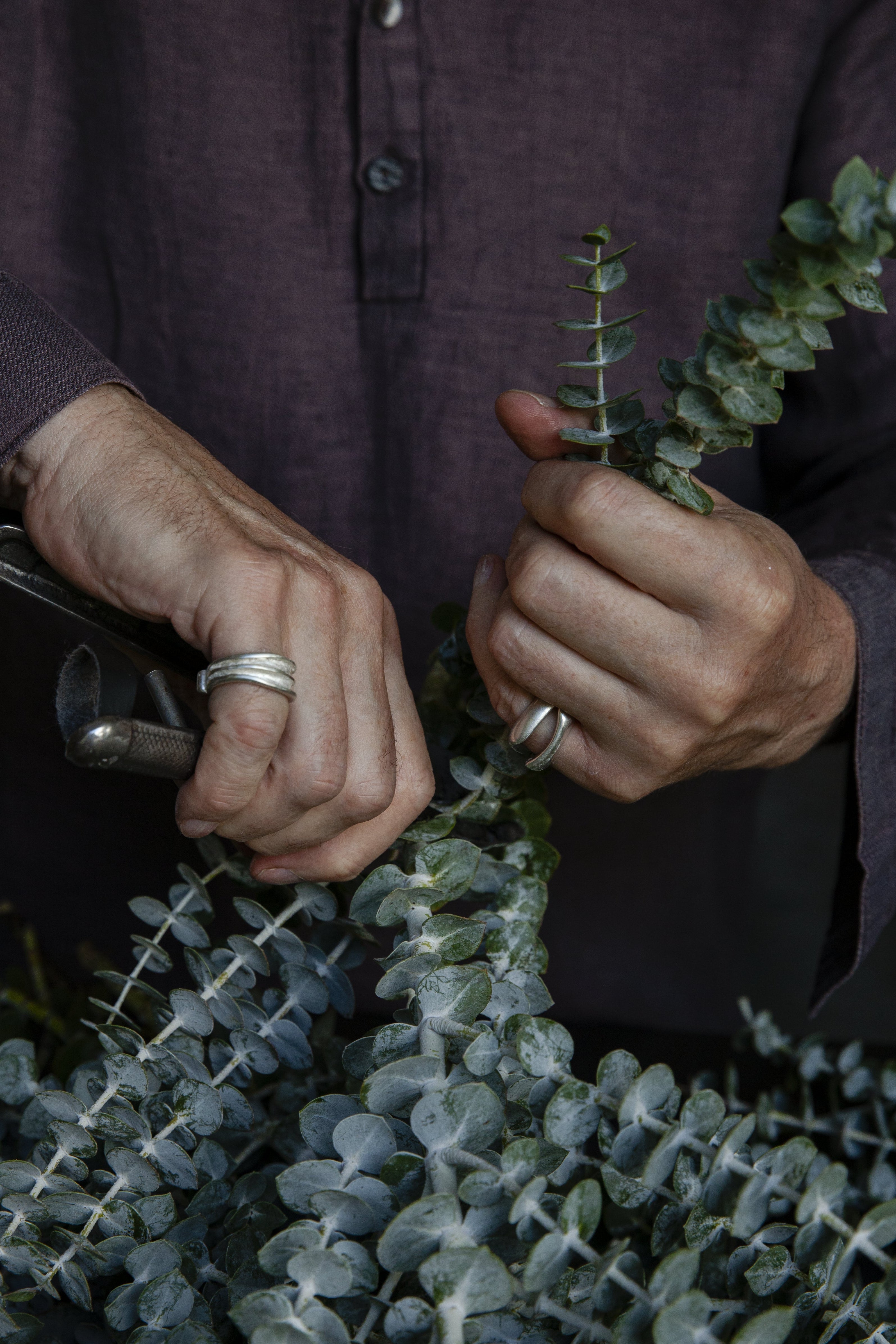 Gestus Curved silver Ring